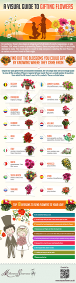 A Visual Guide To Gifting flowers: A Visual Guide To Gifting flowers