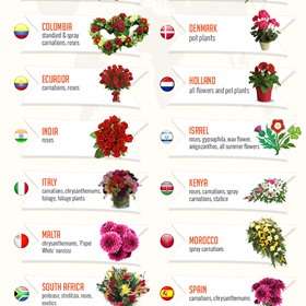 A Visual Guide To Gifting flowers: A Visual Guide To Gifting flowers